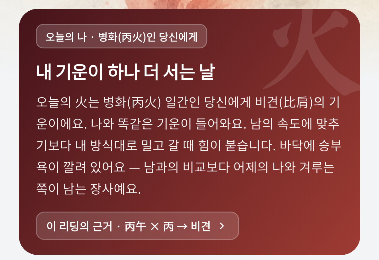 오늘의 나와 리딩 근거를 보여주는 브리핑 카드